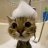 Egor_Creed